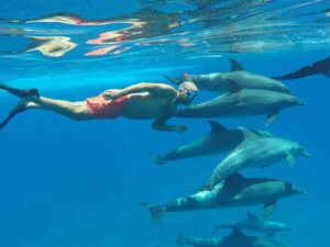 Izlet-Kuća-delfina-u-Hurgadi-Ekskurzije-Hurgada-kuća-Delfina-putovanije-izlet-plivanje-sa-delfinama-Dolphin-House